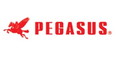 Pegasus Dikiş Makinası