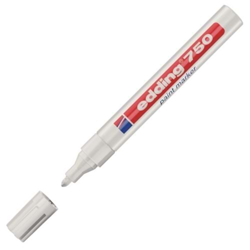 Pigment Mürekkepli Kalem Renk Beyaz