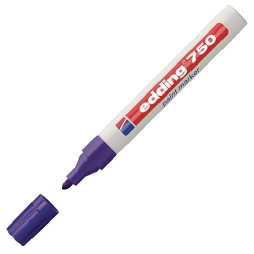 Pigment Mürekkepli Kalem Renk Mor